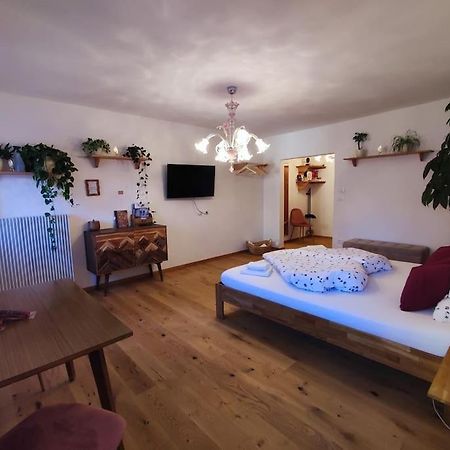 Gemuetliches Studio Mit Garagenparkplatz Fiè Buitenkant foto