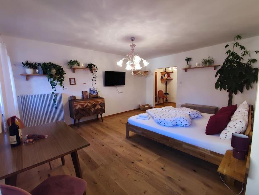 Gemuetliches Studio Mit Garagenparkplatz Fiè Buitenkant foto
